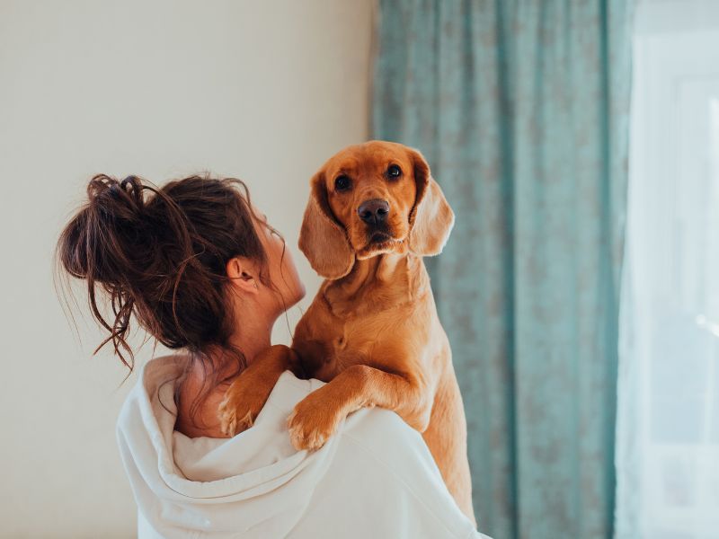 Top 10 Essential Tips for First-Time Pet Owners