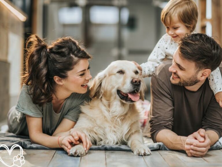 Best Dog Breeds for Families with Children