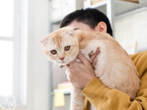 How to Handle Separation Anxiety in Pets?