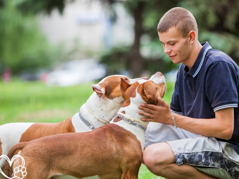 Understanding Your Dog’s Body Language