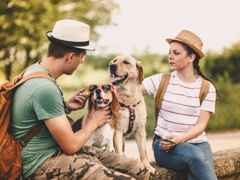 How to Travel with Your Pet Tips for a Stress-Free Journey