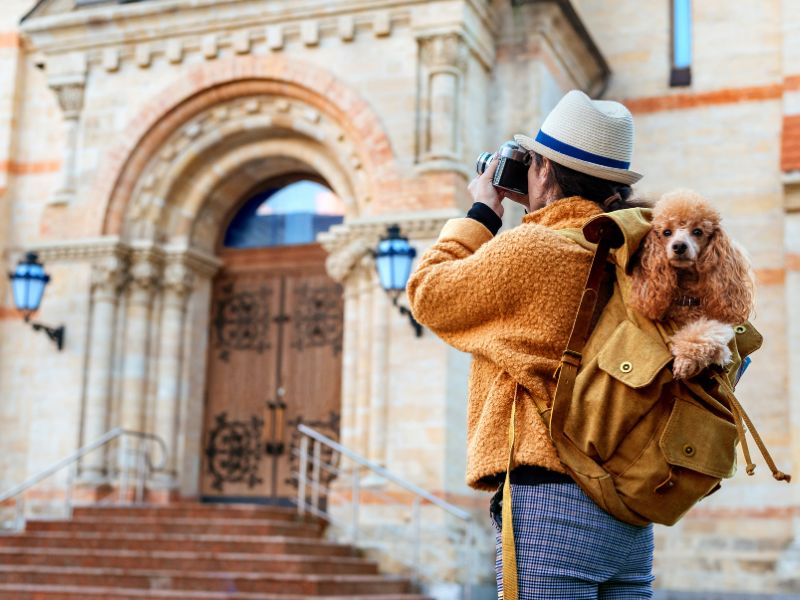 How to Travel with Your Pet Tips for a Stress-Free Journey