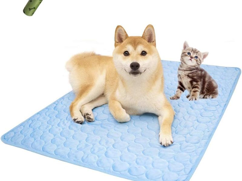 Keep Your Pet Cool Lets Chat About the MICROCOSMOS Pet Cooling Mat - Full Review