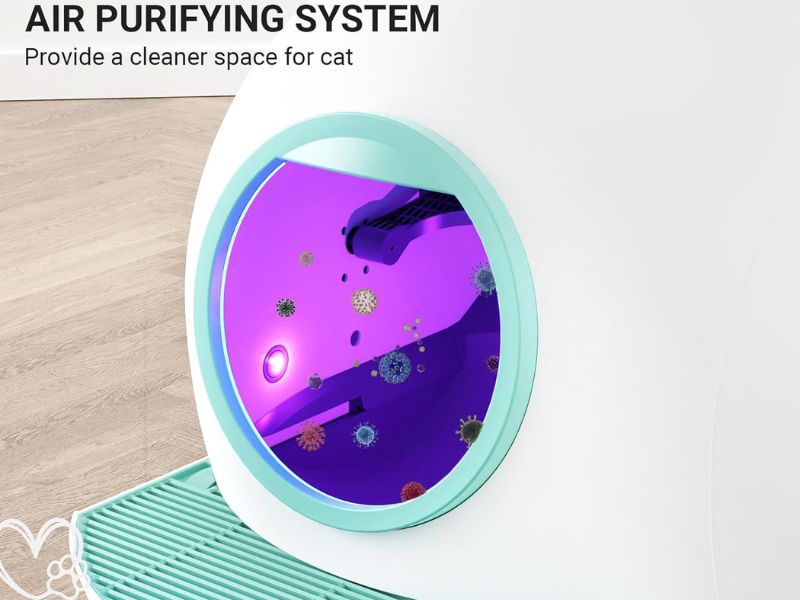 Ultimate Guide KungFuPet Self-Cleaning Cat Litter Box Review