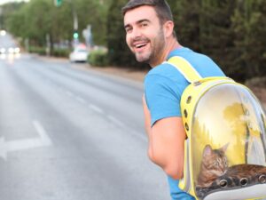 Как да пътуваме с домашния си любимец съвети за пътуване без стрес