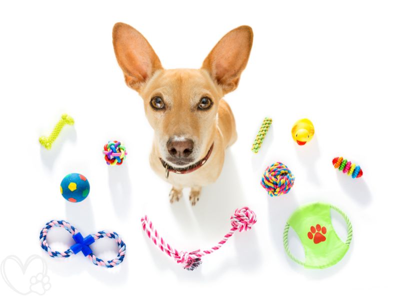 Best Interactive Dog Toys for Mental Stimulation