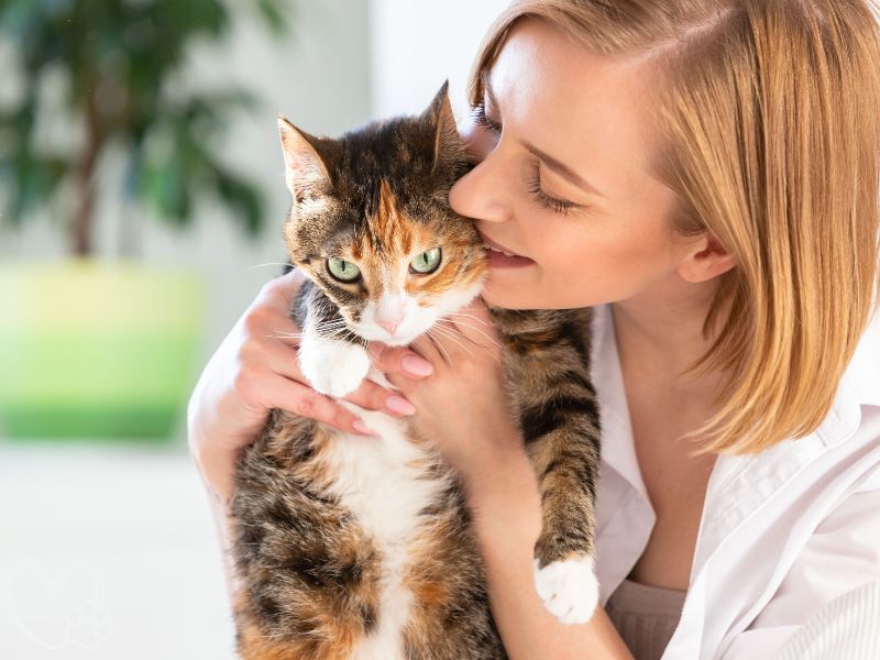 7 Signs Your Pet Loves You More Than Anything: Heartwarming Behaviors That Show Deep Adoration