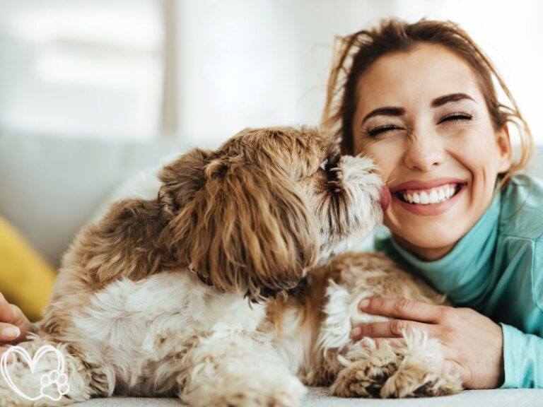 7 Signs Your Pet Loves You More Than Anything: Heartwarming Behaviors That Show Deep Adoration