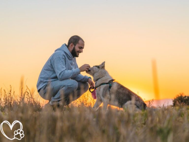 Life Hacks Every Pet Owner Needs to Know