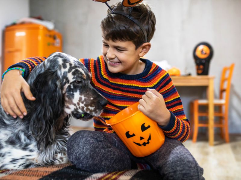 How to Involve Your Pet in Halloween: Fun Activities and Ideas