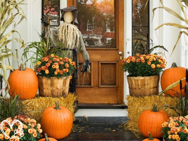 Pet-Friendly Halloween Decorating with Your Fur Babies in Mind