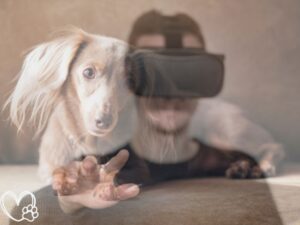 Pets in the Metaverse: The Future of Virtual Companions and Their Impact on Animal Care