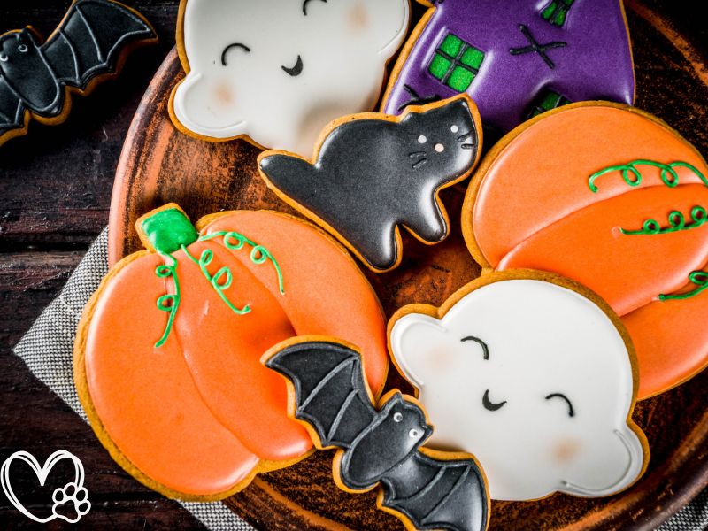 Spooktacular Halloween Treat Alternatives for Pets Safe and Healthy Snacks