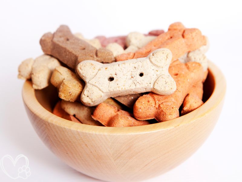 Spooktacular Halloween Treat Alternatives for Pets Safe and Healthy Snacks