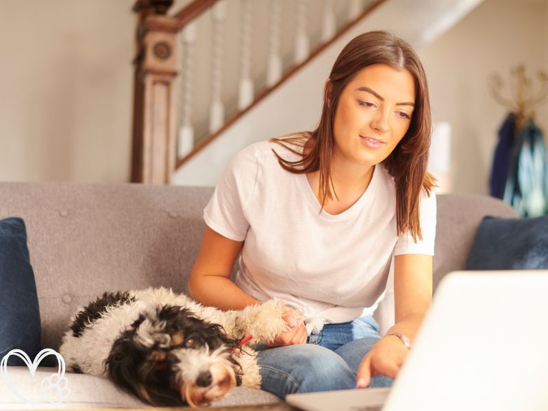 The Future of Pet Tech: Emerging Gadgets That Will Revolutionize Pet Care