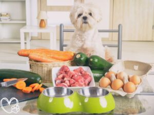 Must-Have Pet Supplements for a Healthy and Happy New Year