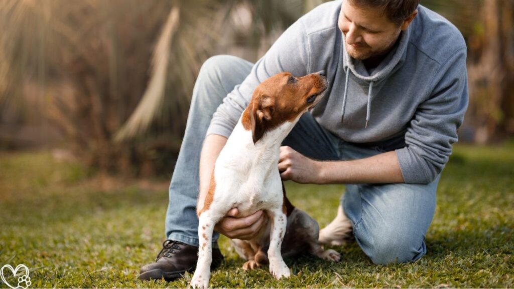 7 Life Lessons You Can Actually Learn From Pets That Transform Your Daily Mindset