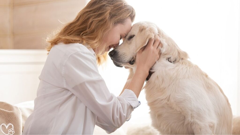 7 Life Lessons You Can Actually Learn From Pets That Transform Your Daily Mindset