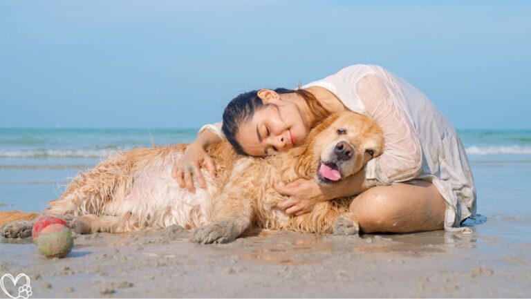 Do Pets Really Recognize Love? What Research Says About Animal Emotions and Behavior
