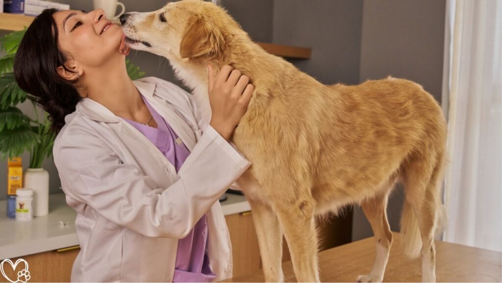 Heartworm Prevention For Dogs: Vet-Recommended Treatment and Wellness Tips