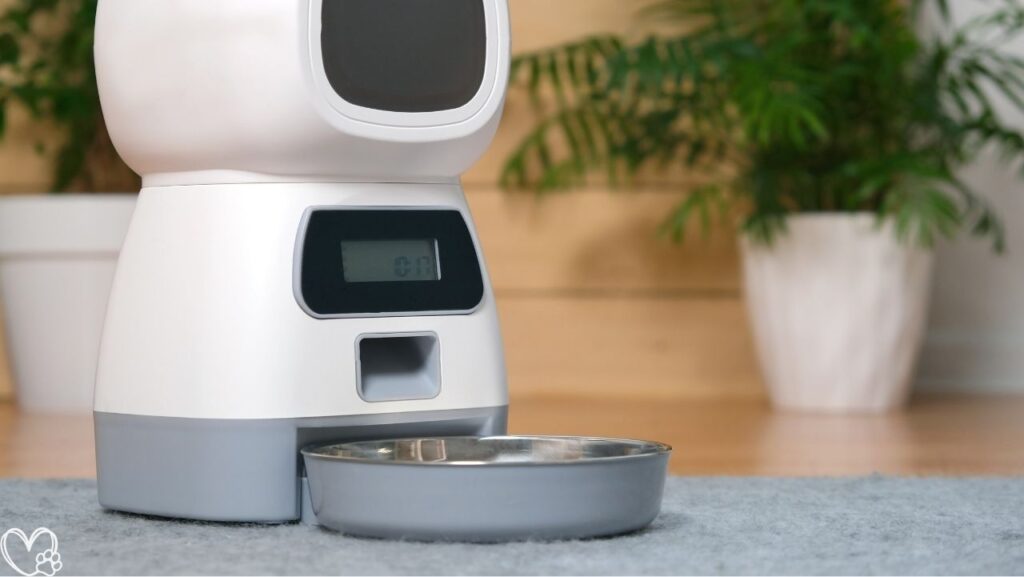 Pet Gadgets That Look Crazy… Until You Try Them And Discover Their Practical Benefits