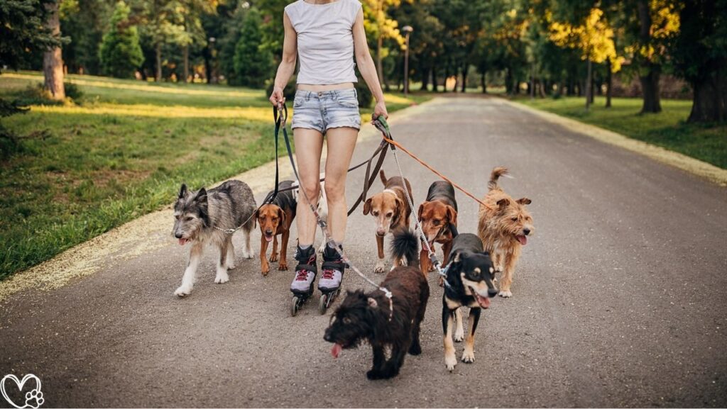 The Science Behind Why Pets Make Us Happier and Healthier 