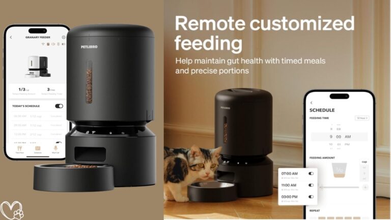 Automatic Cat Feeder