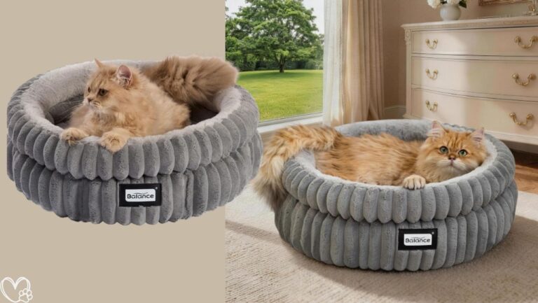 Cozy Cat Bed
