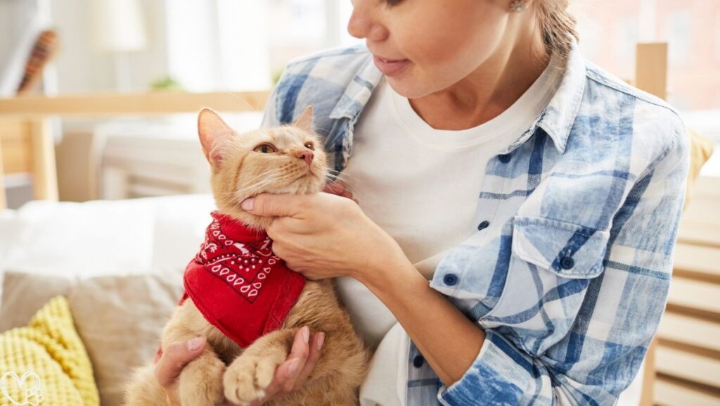 Heartworm Prevention For Dogs Vet-Recommended Treatment and Wellness Tips (4)