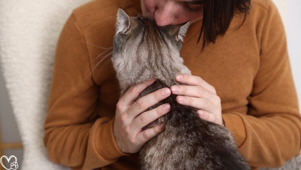 Heartworm Prevention For Dogs Vet-Recommended Treatment and Wellness Tips (5)