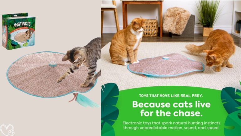 Interactive Cat Toy