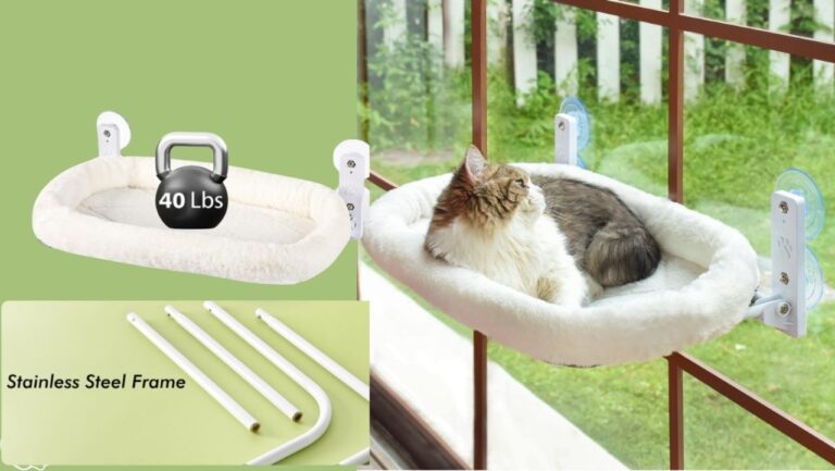 Window Cat Perch